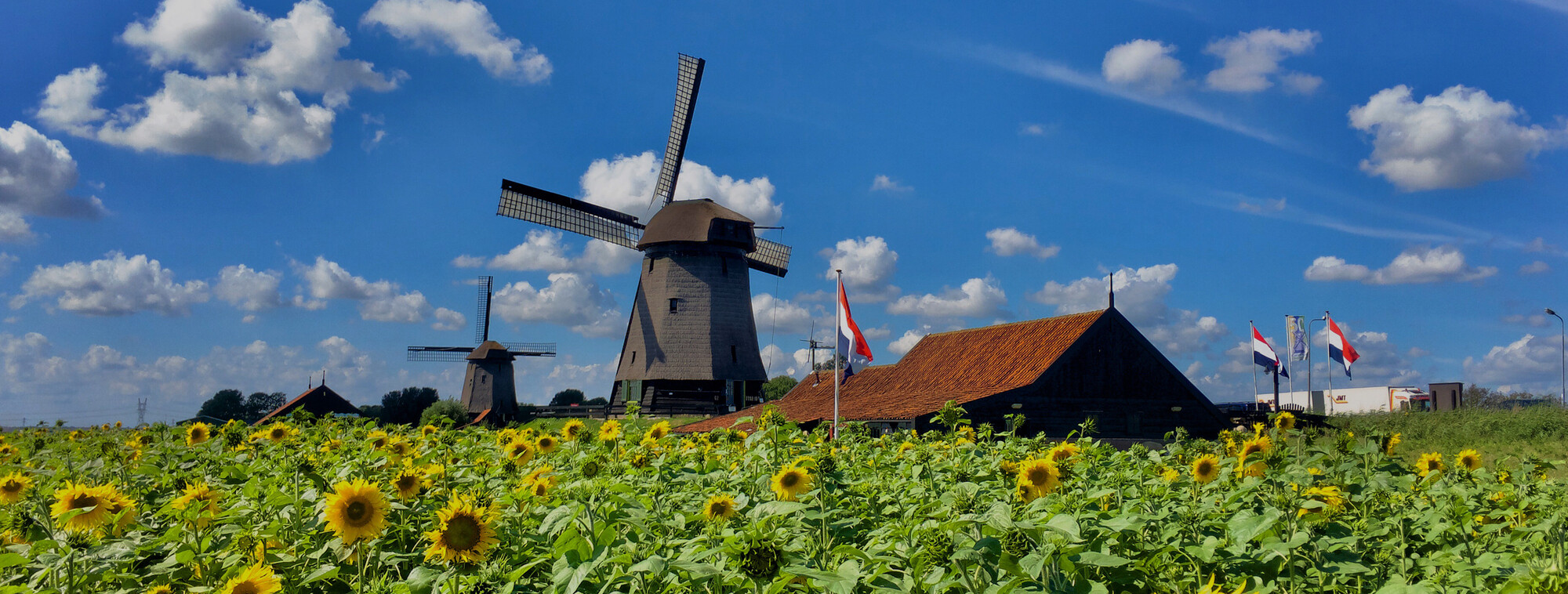 Visitez le Moulin-Musée du Schermerhorn !